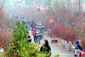 Thời tiết ngày 15/2: Miền Bắc sáng sương mù, trưa hửng nắng
