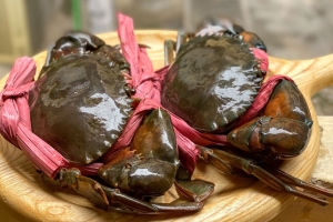 Giá cua biển Cà Mau tăng vọt cận Tết, loại lớn chạm 1,1 triệu đồng/kg
