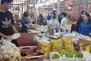 Sức đề kháng yếu và yêu cầu thay đổi tư duy của doanh nghiệp nhỏ