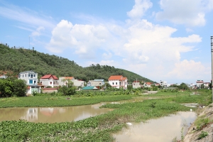 Bắc Ninh: Tập trung rà soát các dự án đầu tư đang triển khai ngoài đê, các bãi sông
