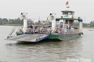 Đồng Tháp đảm bảo hoạt động đò ngang phục vụ nhu cầu đi lại trong dịp Tết