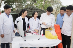 Hà Nội: Kiểm tra công tác y tế, phục vụ bắn pháo hoa Tết Nguyên đán 2026
