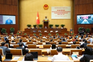 Người nào không được ứng cử đại biểu Quốc hội và đại biểu Hội đồng nhân dân?