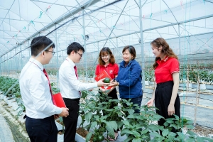 Agribank - Dấu ấn nổi bật trong xây dựng nông thôn mới và hoạt động vì cộng đồng