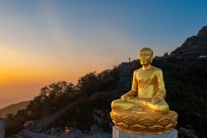 Danh nhân tuổi Ngọ: Dấu ấn Việt trong dòng chảy nhân loại