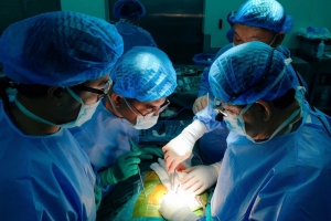 TP. HCM: Hơn 200 y bác sĩ xuyên đêm ghép tạng mang lại sự sống cho 4 người