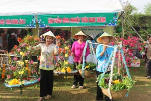 Túy Loan lan tỏa tinh thần “Tết xanh” giữa lòng Đà Nẵng