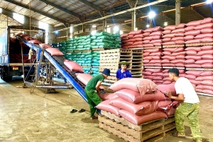 Gia Lai hỗ trợ pháp lý liên ngành cho doanh nghiệp nhỏ và vừa, hộ kinh doanh giai đoạn 2026-2030
