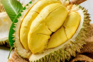 Giá sầu riêng hôm nay 21/2: Sầu riêng Thái loại A chạm mốc 150.000 đồng/kg