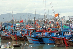 Đồng Tháp định hình hành lang kinh tế ven biển, thúc đẩy tăng trưởng xanh và bền vững