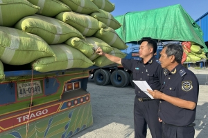 Hải quan khu vực XX: Làm thủ tục thông quan cho 432 tờ khai trong dịp Tết