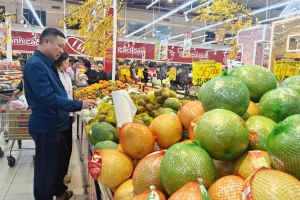 Hải Phòng: Thị trường Tết ổn định, dịch vụ tăng giá cục bộ dịp đầu xuân