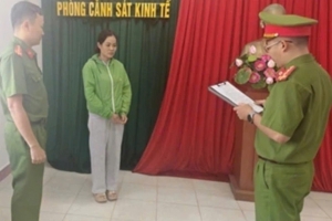 Đắk Lắk: Khởi tố nữ giám đốc mua bán trái phép hàng trăm hóa đơn khống