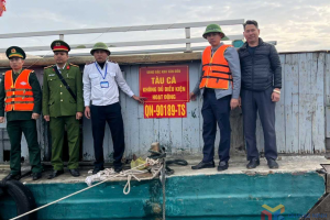 Quảng Ninh tập trung nguồn lực chống khai thác IUU