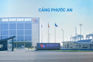 Cảng Phước An (PAP) trình hồ sơ phát hành riêng lẻ 125 triệu cổ phiếu