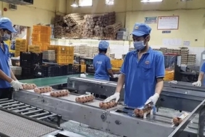 Đồng Nai: Các doanh nghiệp dự kiến tuyển dụng 173.000 lao động