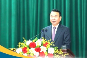Ninh Bình: Tạo khí thế mới, quyết tâm mới ngay sau Tết Bính Ngọ