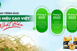 Trương Sỹ Bá sắp đưa thêm công ty gạo 650 tỷ lên sàn, hệ sinh thái ngày càng “đông vui”