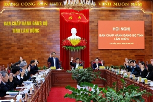 Lâm Đồng thống nhất chủ trương đề xuất dự án điện gió ngoài khơi