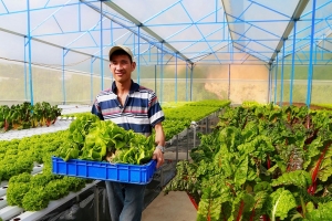 Lâm Đồng: Nông dân phấn khởi xuống đồng những ngày đầu xuân