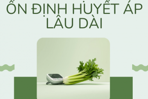 Giải pháp thảo dược ổn định huyết áp, giúp người cao tuổi kéo dài tuổi thọ