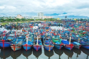 Đà Nẵng: Cảng cá lớn nhất miền Trung sẽ thành cảng du lịch hiện đại