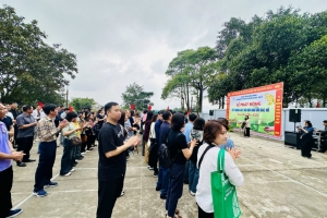 Quảng Ninh trồng gần 200 cây gỗ lớn tại các khu di tích trọng điểm