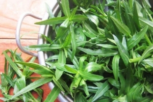 Ít ai biết loại rau ngổ quen thuộc không chỉ là một loại gia vị mà còn có nhiều lợi ích cho sức khỏe