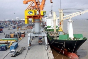 Cảng Đồng Nai lên kế hoạch tạm ứng cổ tức năm 2025 với tỷ lệ 20%