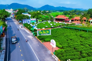 Thái Nguyên triển khai Đề án sản xuất trồng trọt giảm phát thải đến năm 2035