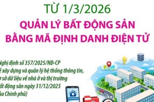 Minh bạch thị trường địa ốc qua "căn cước" định danh bất động sản