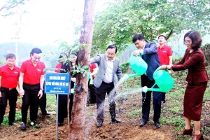 Agribank tham gia Chương trình “Về nguồn” và “Tết trồng cây” ngành Ngân hàng tại Tuyên Quang