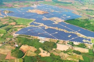 Trường Thành Energy Group tiếp tục xây dựng mục tiêu tăng trưởng đầy tham vọng cho năm 2026