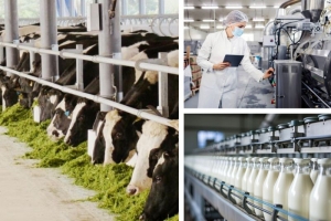Bộ Công Thương ban hành Thông tư Quy chuẩn kỹ thuật Quốc gia đối với các sản phẩm sữa dạng lỏng