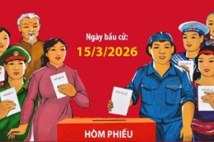 Khu vực bỏ phiếu và việc xác định khu vực bỏ phiếu bầu cử