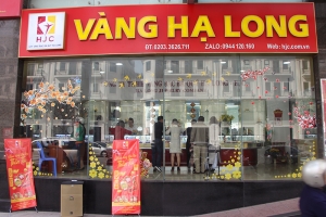 Giám đốc Công ty TNHH Vàng bạc đá quý Hạ Long bị khởi tố vì hành vi trốn thuế