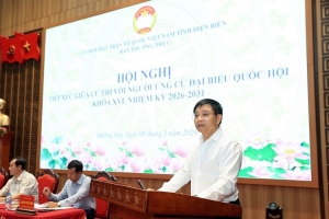 Cam kết thực hiện tốt vai trò, trách nhiệm đại biểu dân cử