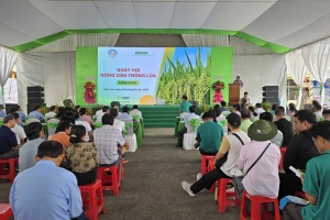 Ngày hội nông dân trồng lúa 2026: Thúc đẩy sản xuất lúa chất lượng cao, giảm phát thải ở ĐBSCL