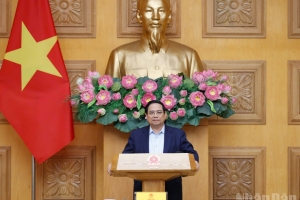 Tư duy, cách tiếp cận phù hợp, phản ứng chính sách kịp thời, hiệu quả