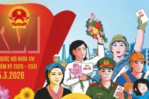 Những người tạm vắng khỏi nơi cư trú thì thực hiện quyền bầu cử ở đâu?