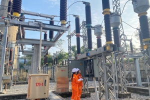 Những “bông hoa Điện lực” kiên cường giữa đời thường