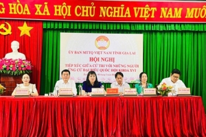 Gia Lai: Chủ tịch Hội Doanh nhân trẻ ứng cử đại biểu Quốc hội