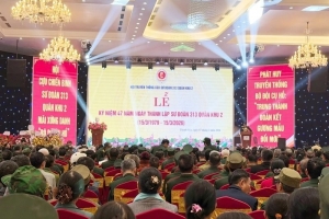 Kỷ niệm 47 năm Ngày thành lập Sư đoàn 313, Quân khu 2