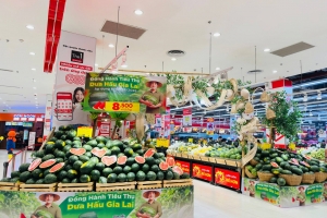 Hệ thống bán lẻ hỗ trợ đầu ra dưa hấu Gia Lai