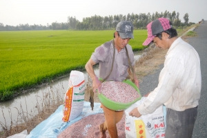 Chủ động ổn định nguồn cung phân bón trước biến động thị trường quốc tế