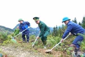 Tuyên Quang: Phát động trồng 3.000 cây xây dựng “Vành đai xanh biên giới”