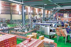 Sữa Quốc tế Lof lên kế hoạch doanh thu 8.300 tỷ đồng trong năm 2026