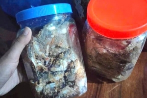 Đà Nẵng: 3 học sinh nghi bị ngộ độc sau khi ăn cá ủ chua