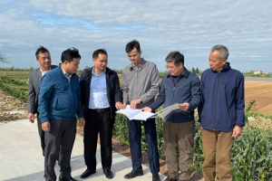 Ninh Bình: Kiểm tra, nghiệm thu công trình sửa chữa đê bối Phù Sa Thượng tại xã Đồng Thịnh