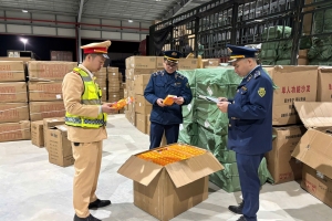 Lạng Sơn: Tạm giữ xe đầu kéo chở hàng hóa gia dụng có dấu hiệu vi phạm